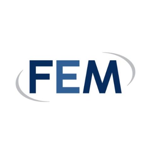 FEM